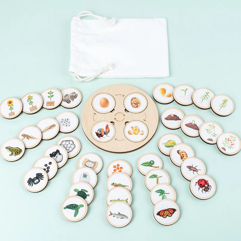 LifeSteps – Discover Life Cycles – Wooden Puzzle Set