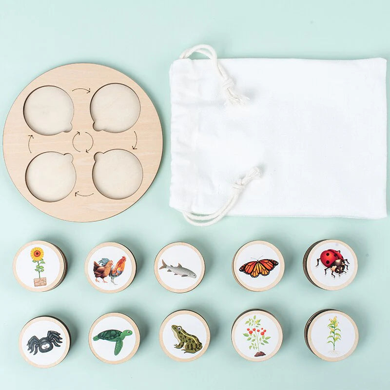 LifeSteps – Discover Life Cycles – Wooden Puzzle Set