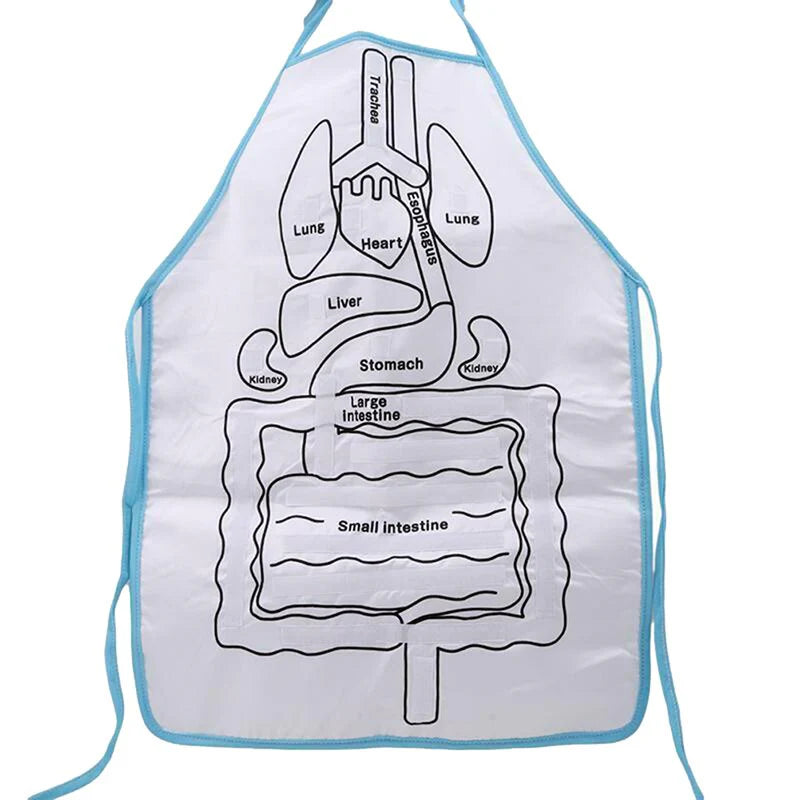 Apron – Learn About the Human Body Through Play