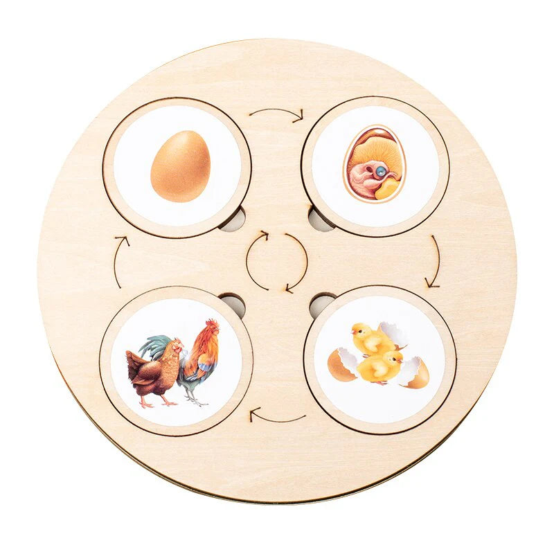 LifeSteps – Discover Life Cycles – Wooden Puzzle Set