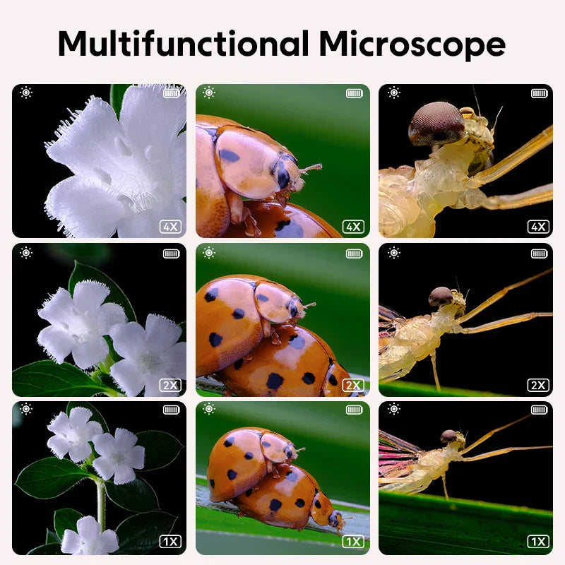 Junior Explorer Microscope