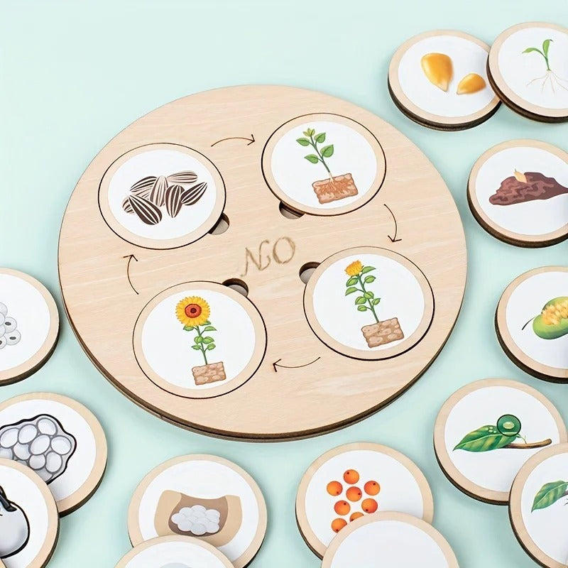 LifeSteps – Discover Life Cycles – Wooden Puzzle Set