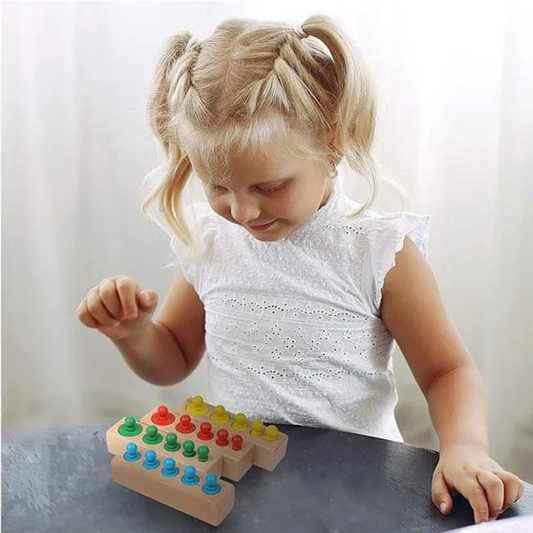 Montessori Colors and Numbers Learning Wooden Toy