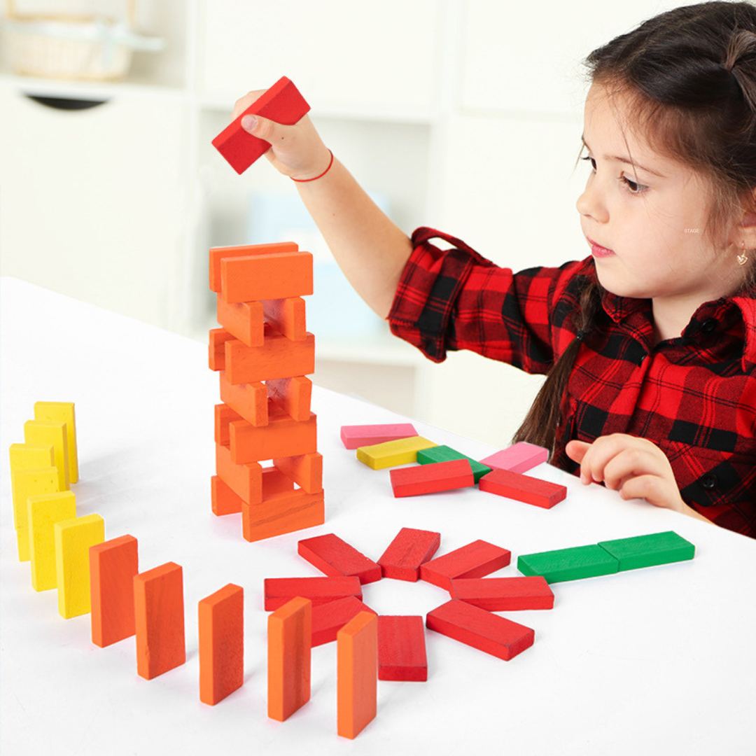 Montessori Wooden Domino Stones