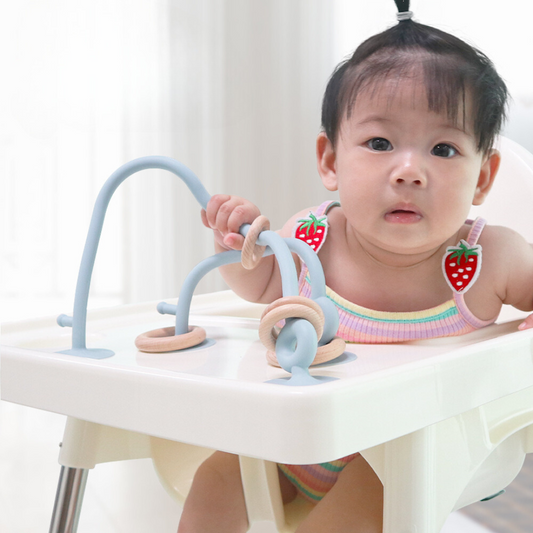 Suction Cup Toy for Toddlers