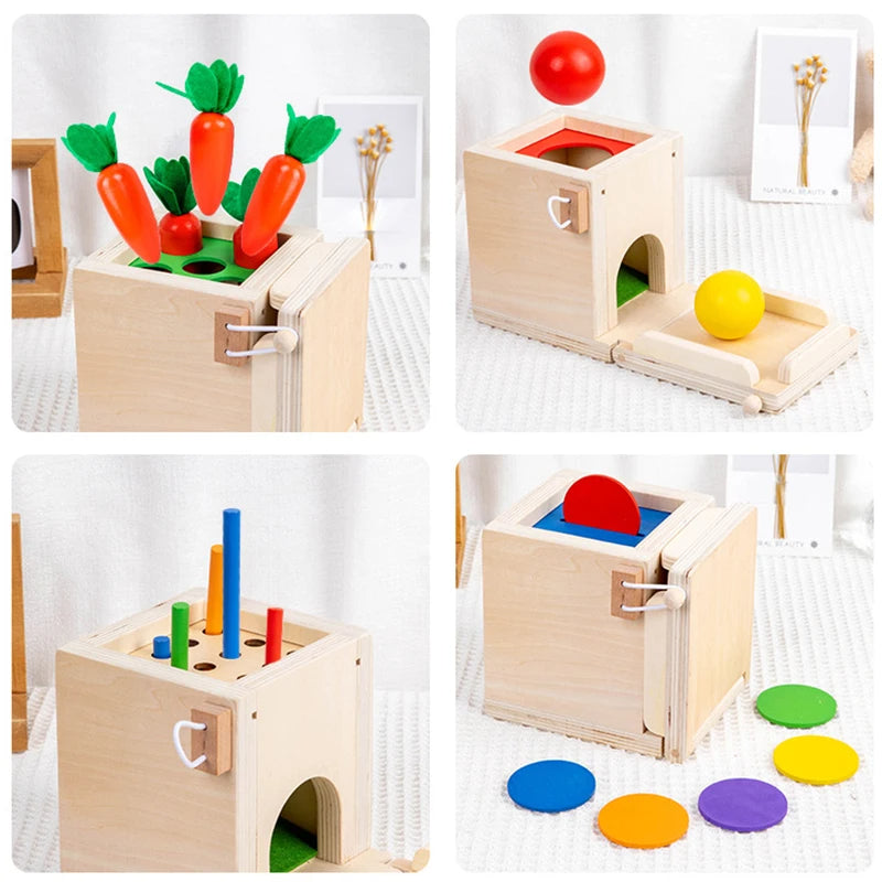 Montessori Wooden Play Box: Tasks & Solutions Set