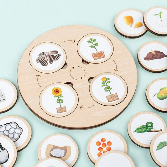 LifeSteps – Discover Life Cycles – Wooden Puzzle Set