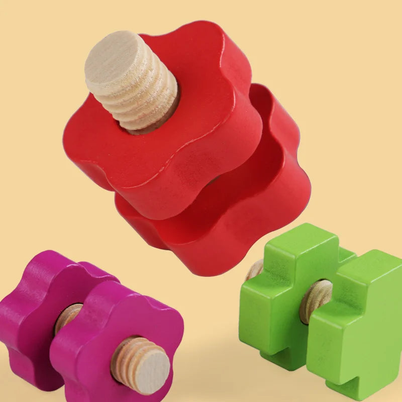 Montessori Screws and Bolts Wooden Toy