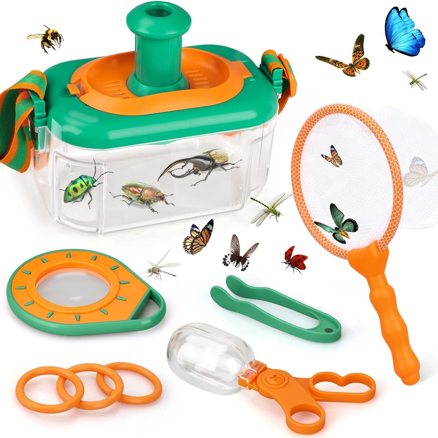 Nature Explorer Set | Insect Study Kit