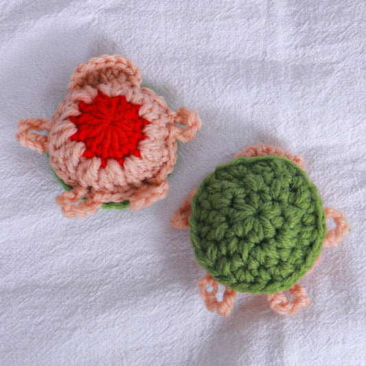 Turtle Memory Match Game