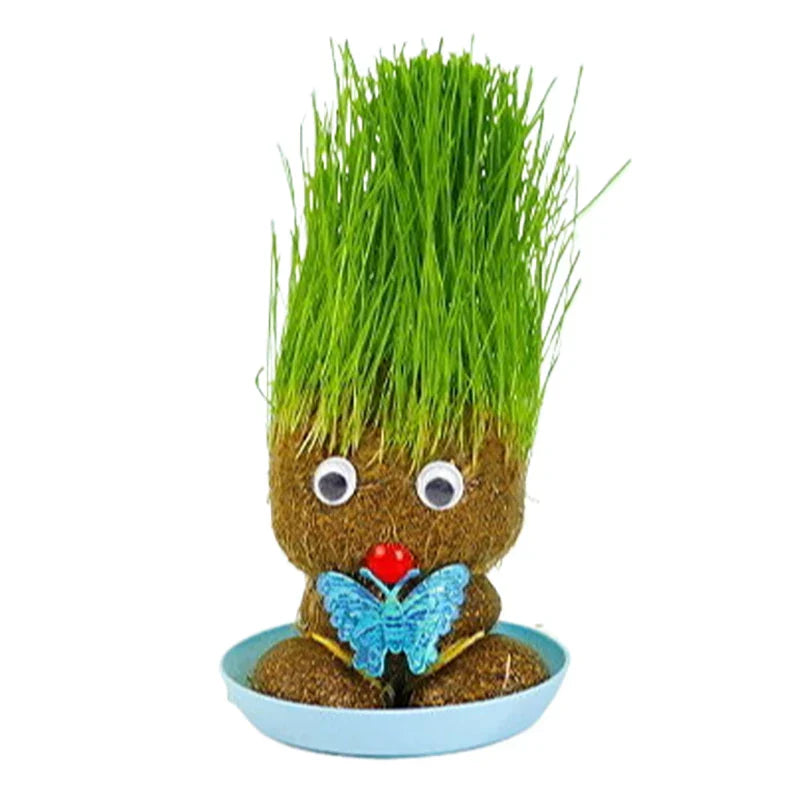 Fun Plant Care Decor