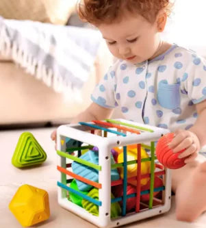 Shape Sorter Cube