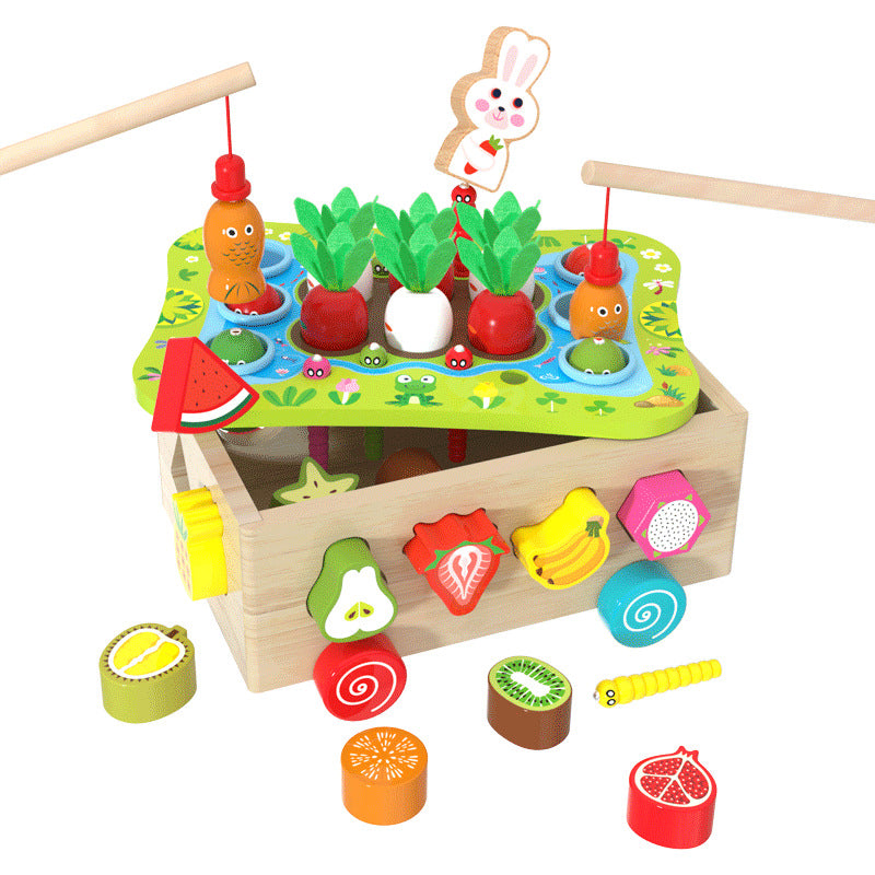 Montessori Learning and Development Wooden Toy