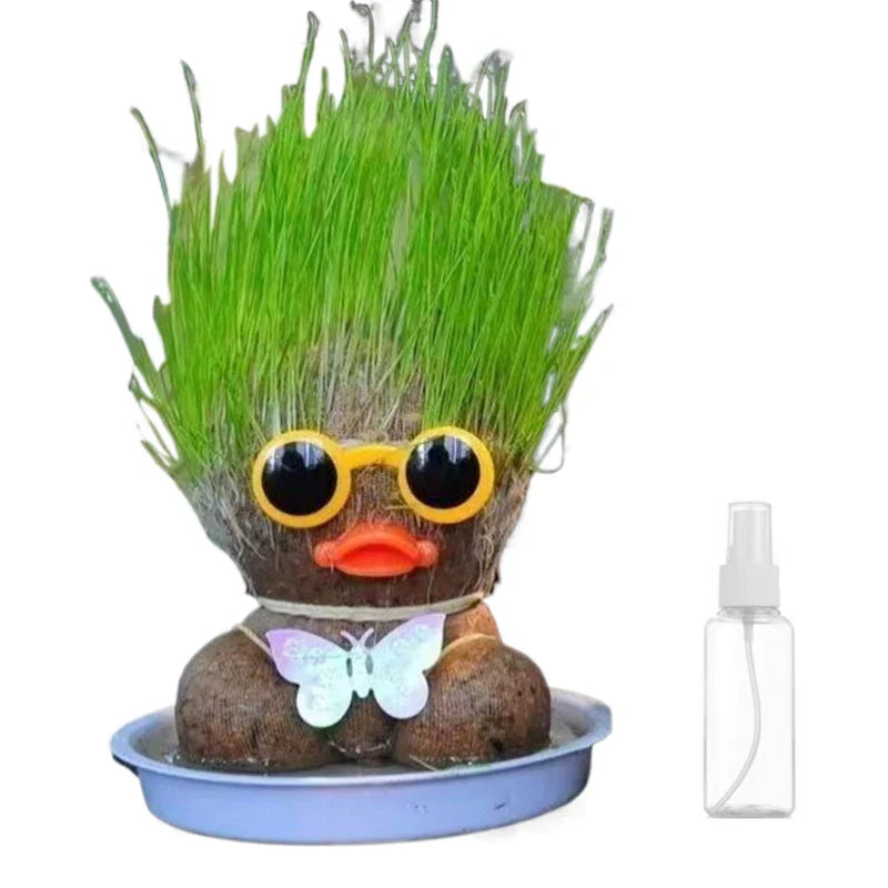 Fun Plant Care Decor