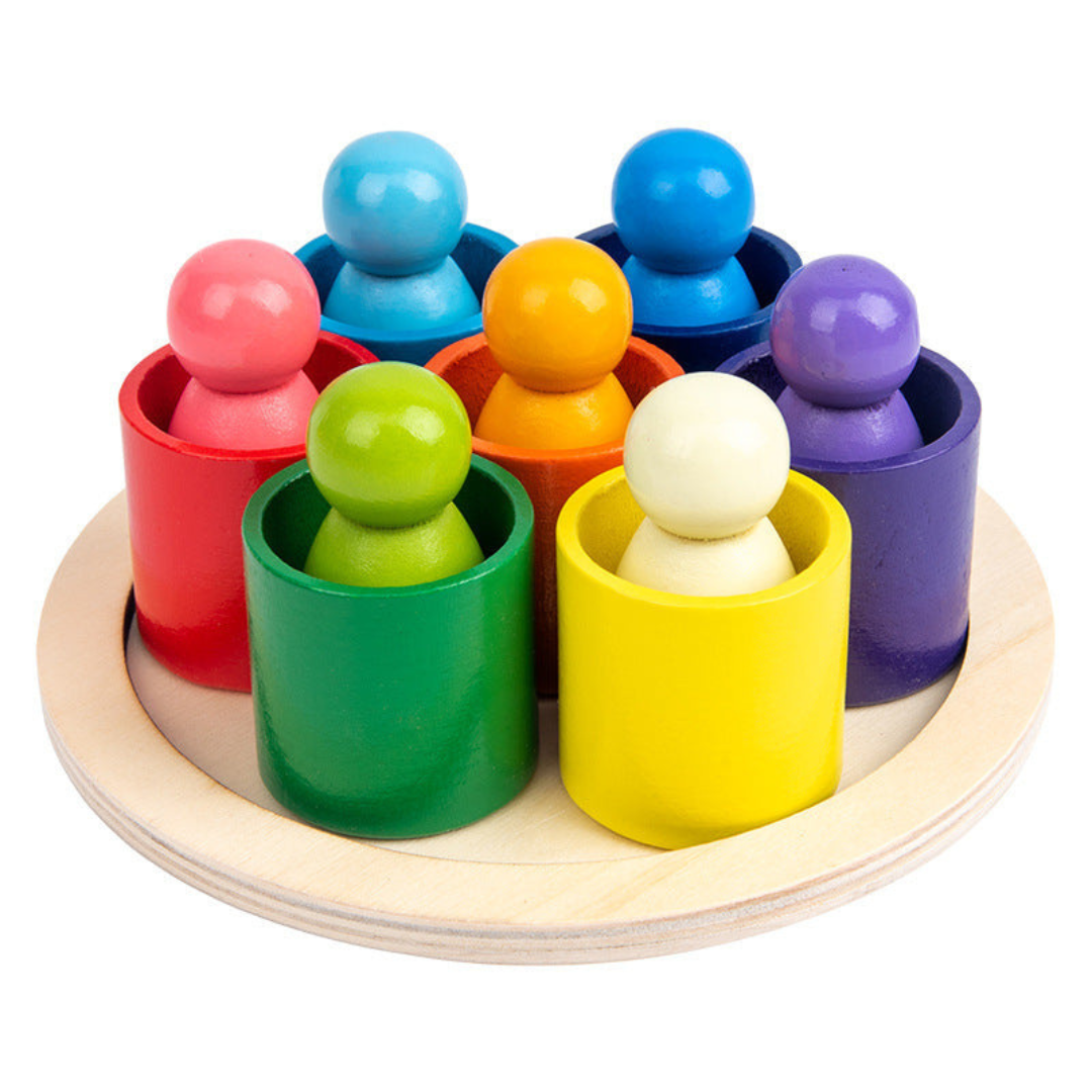 Montessori Colored Wooden Building Blocks