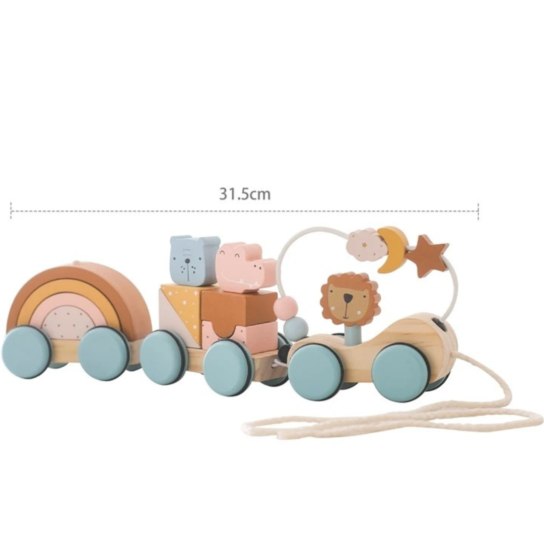 Montessori Wooden Train in Pastel Colors