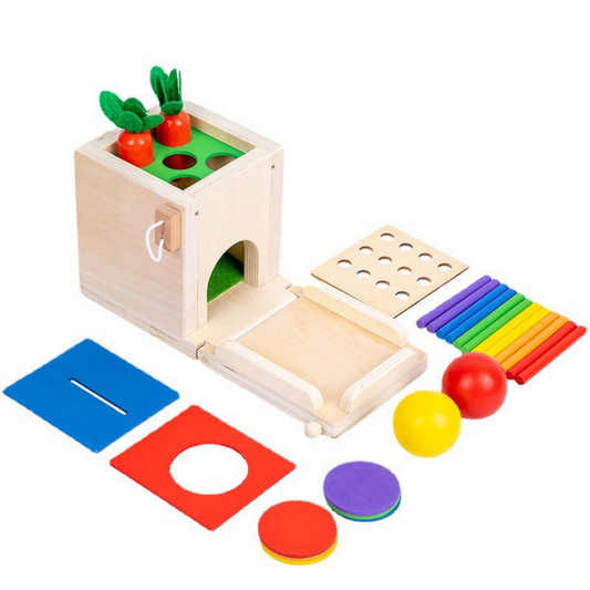 5in1 Montessori Learning Toy Set Made of Wood