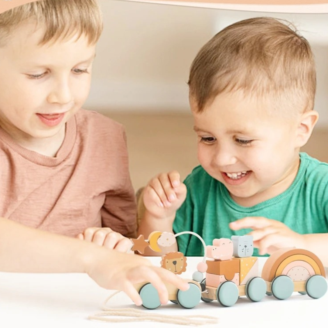 Montessori Wooden Train in Pastel Colors