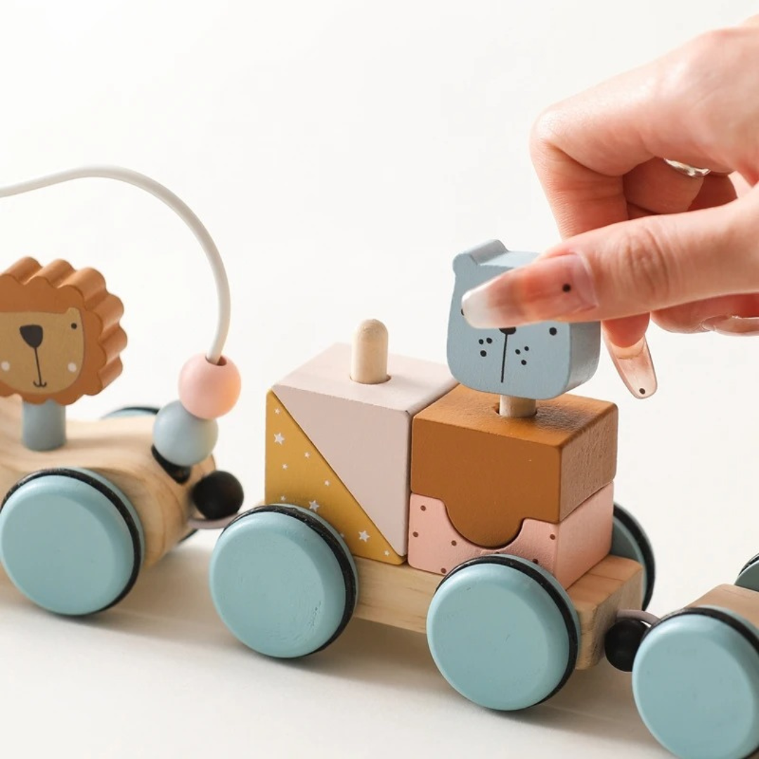 Montessori Wooden Train in Pastel Colors