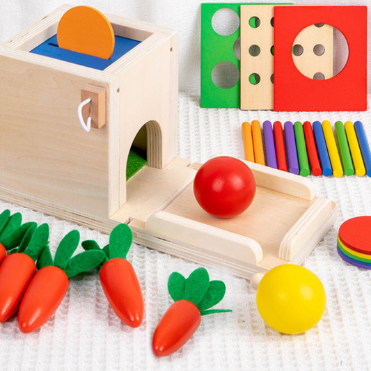 5in1 Montessori Learning Toy Set Made of Wood