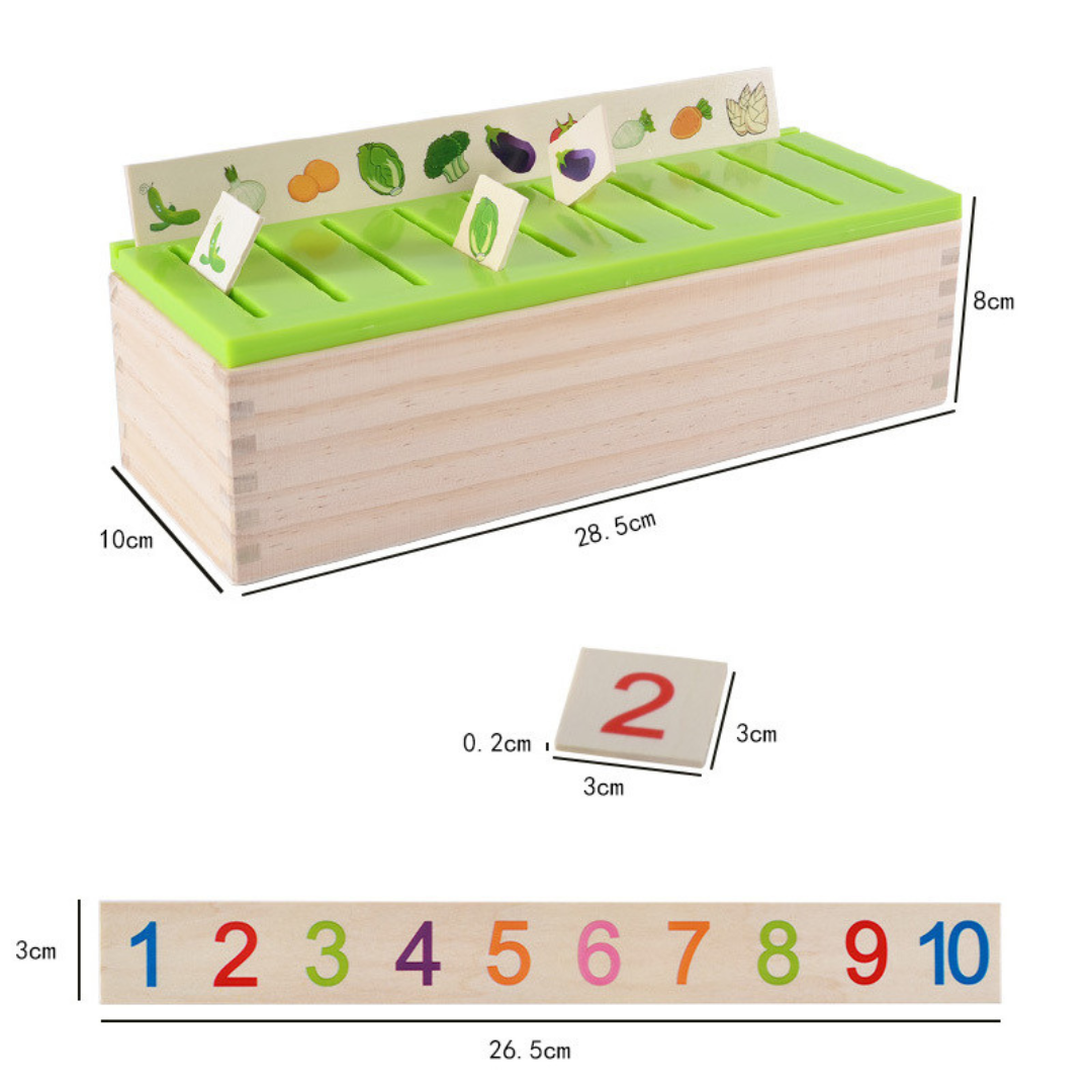 Montessori Wooden Sorting Box