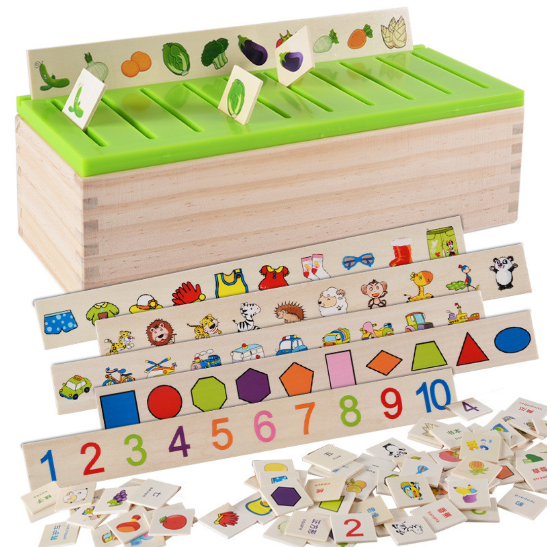 Montessori Wooden Sorting Box