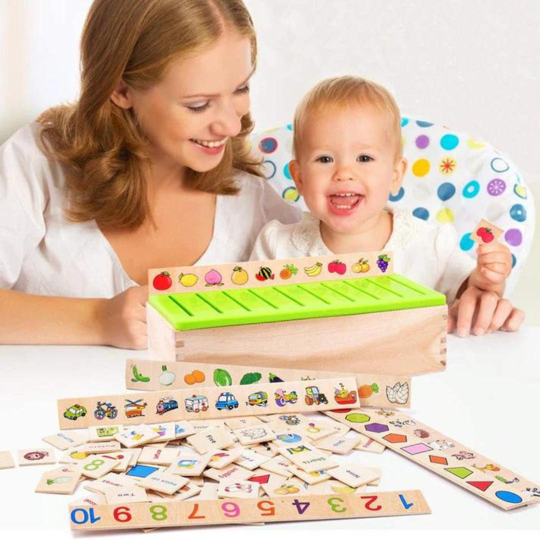 Montessori Wooden Sorting Box