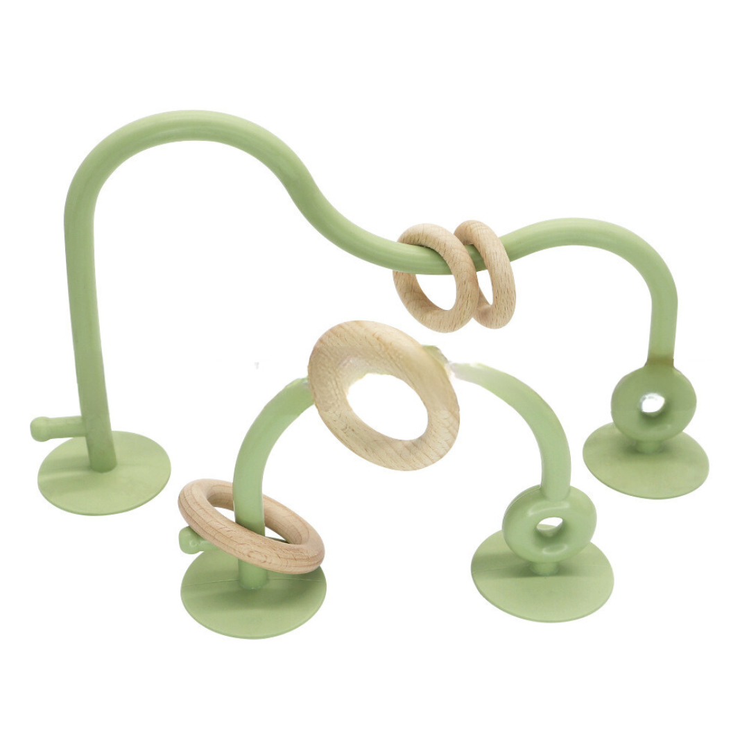 Suction Cup Toy for Toddlers