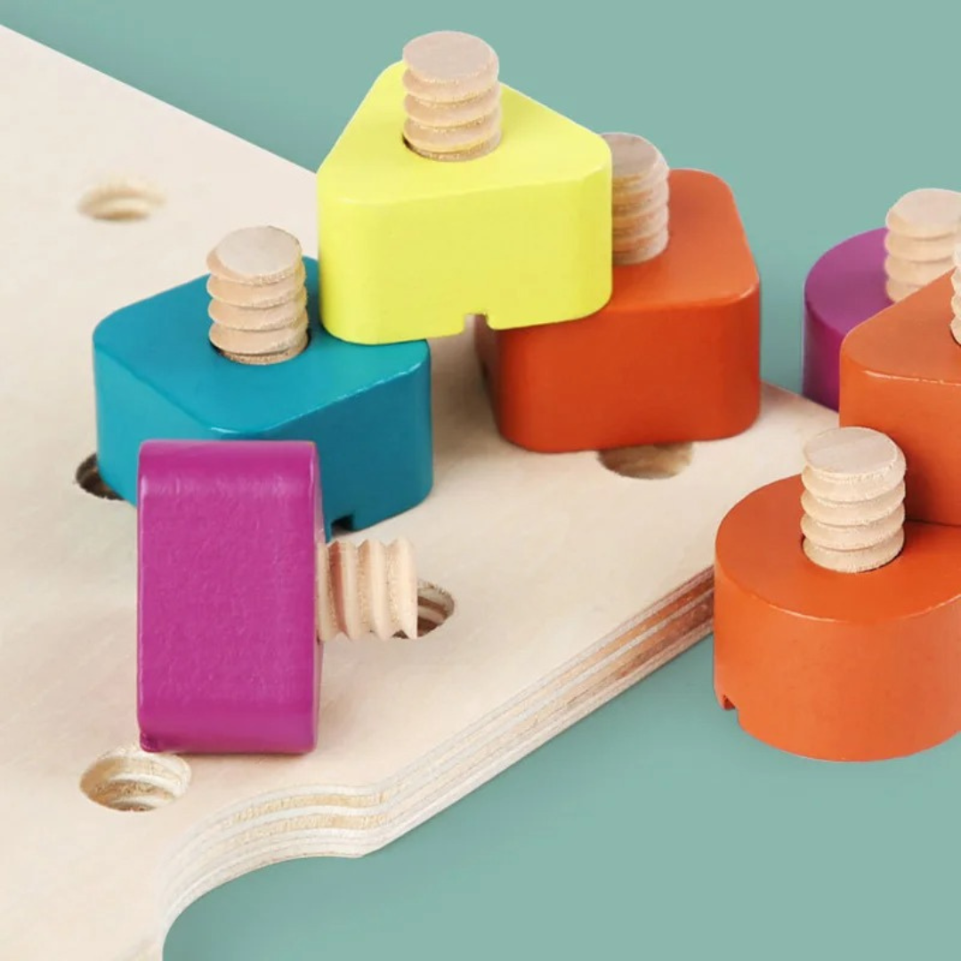 Montessori Screw, Wood, and Color Toy