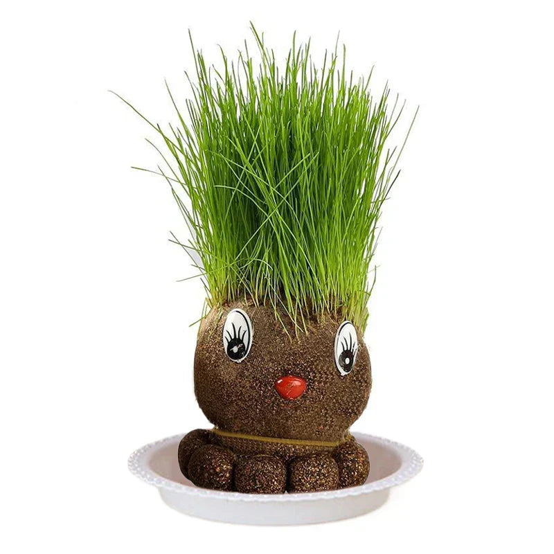 Fun Plant Care Decor