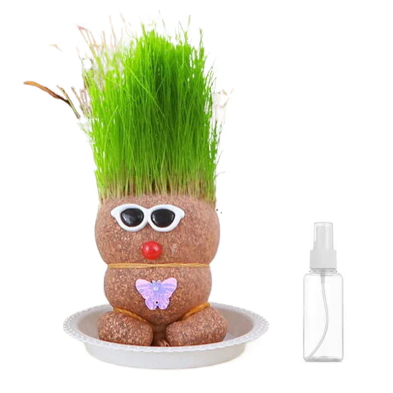 Fun Plant Care Decor