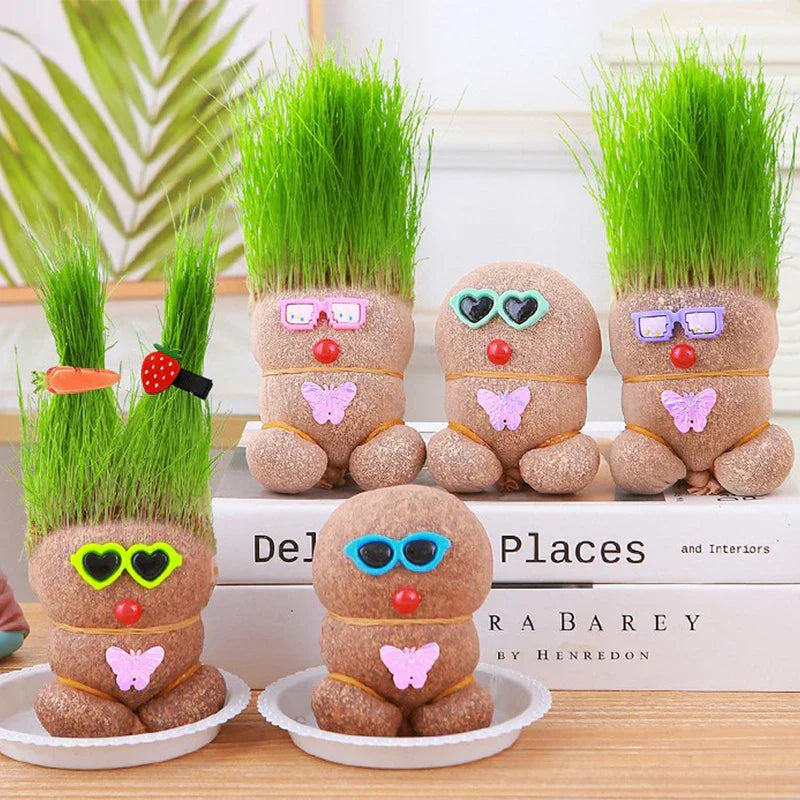 Fun Plant Care Decor