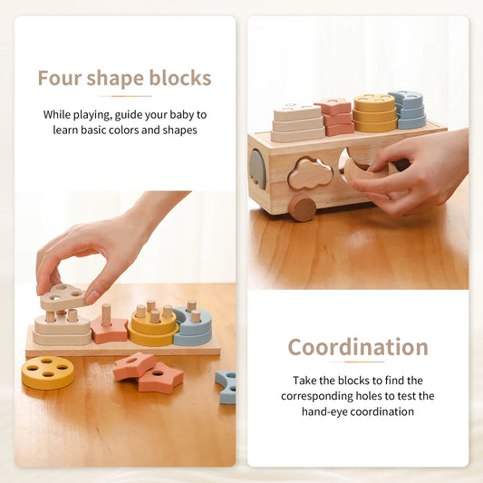 Shape & Color Sorting Adventure