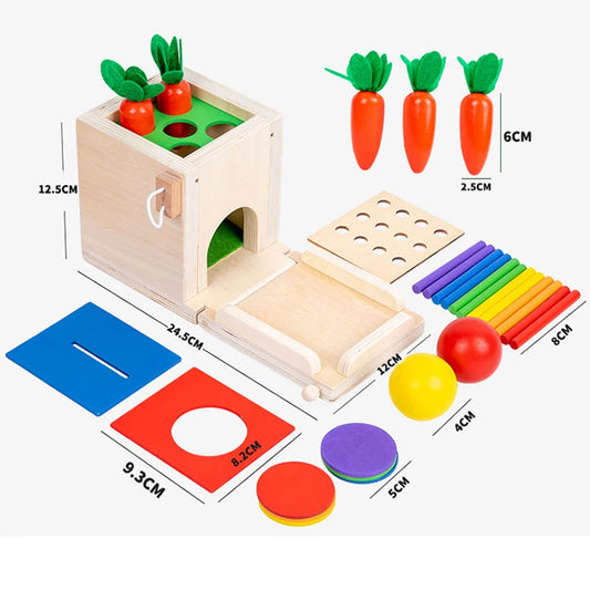 Montessori Wooden Play Box: Tasks & Solutions Set