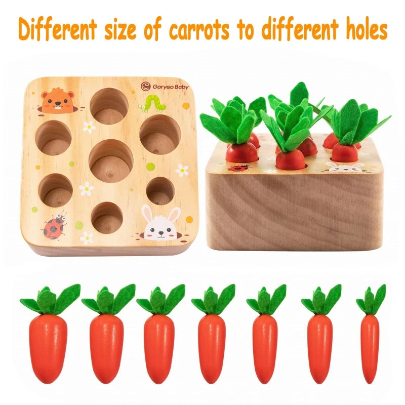 Montessori Learning and Development Wooden Toy