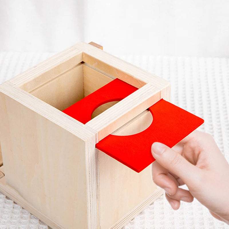 Montessori Wooden Play Box: Tasks & Solutions Set