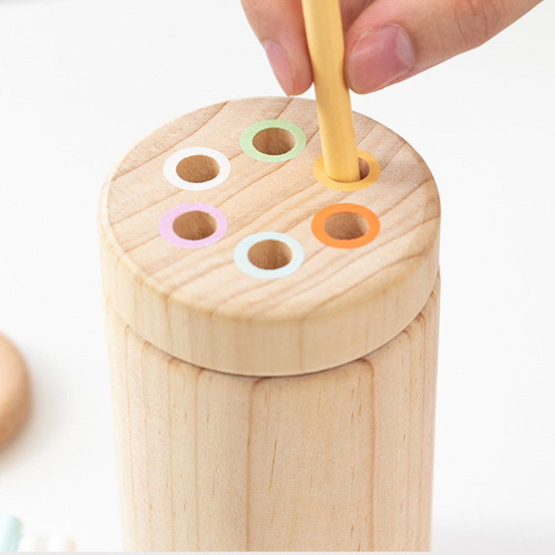 Montessori Color Wooden Stick Game