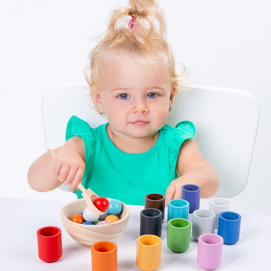 Montessori Sorting and Color Recognition Wooden Set