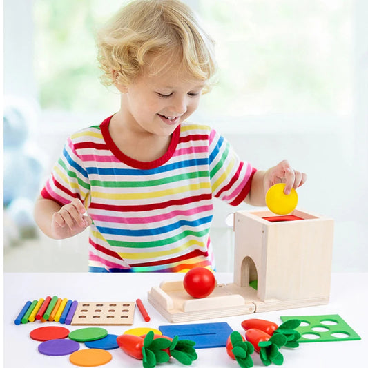 Montessori Wooden Play Box: Tasks & Solutions Set