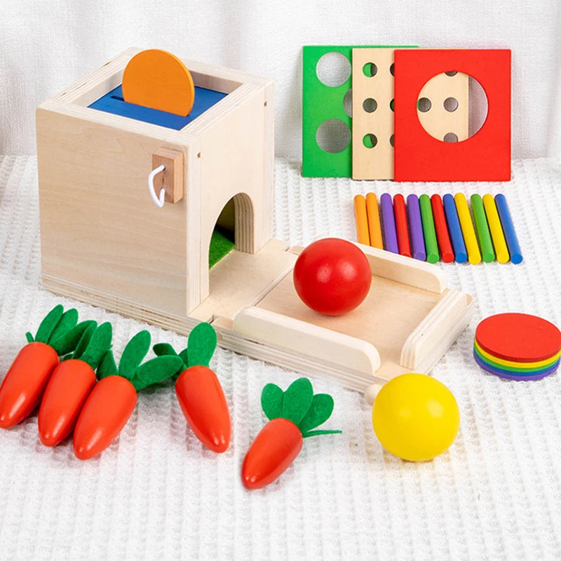 Montessori Wooden Play Box: Tasks & Solutions Set