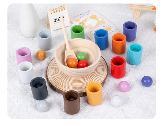 Montessori Sorting and Color Recognition Wooden Set