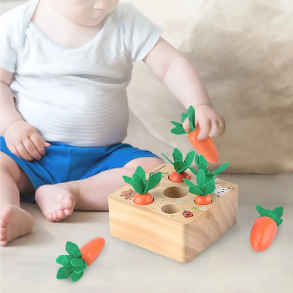 Montessori Learning and Development Wooden Toy