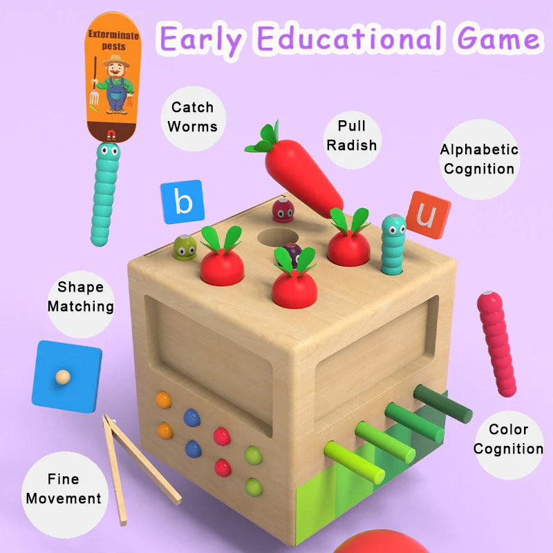 Montessori Learning and Development Wooden Toy