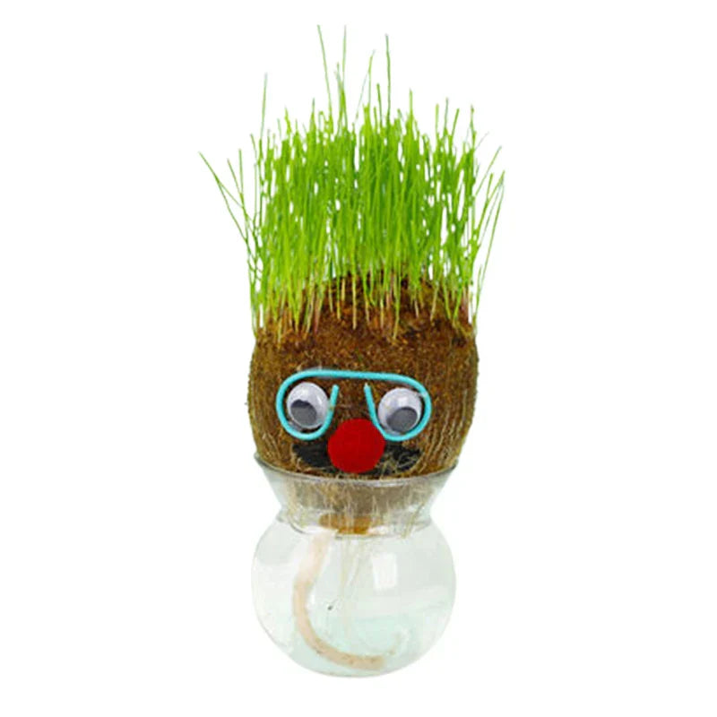 Fun Plant Care Decor